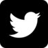 iconmonstr-twitter-3-icon-256.png